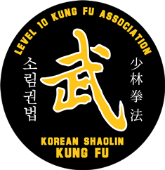 Level 10 Kung Fu Association